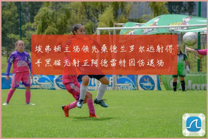 埃弗顿主场领先桑德兰罗尔远射得手黑猫无射正阿德雷特因伤退场