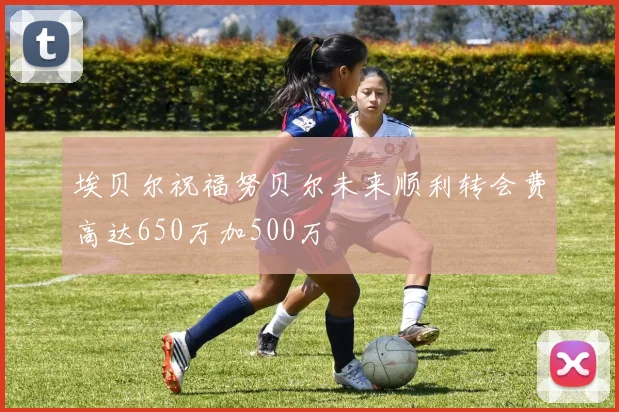 埃贝尔祝福努贝尔未来顺利转会费高达650万加500万