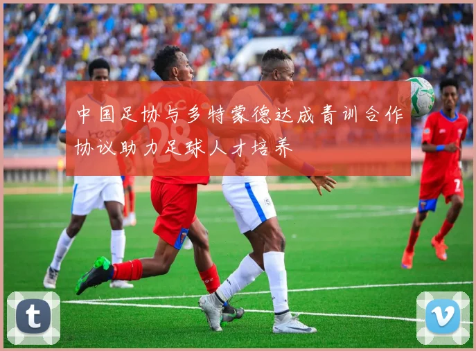 中国足协与多特蒙德达成青训合作协议助力足球人才培养