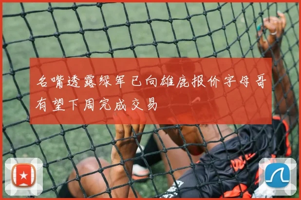 名嘴透露绿军已向雄鹿报价字母哥有望下周完成交易