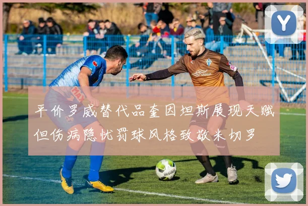 平价罗威替代品奎因坦斯展现天赋但伤病隐忧罚球风格致敬米切罗